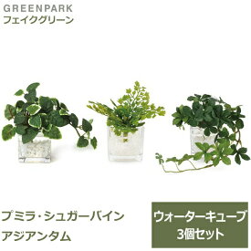 フェイクグリーン ミニ 観葉植物 造花 プミラ シュガーバイン アジアンタム ウォーターキューブ 3個セット 台所 キッチン 洗面所 トイレ GREENPARK PRGR-1304 卓上 机 グリーンパーク 植物 人工観葉植物 人口植 送料無料