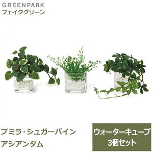 150~ItN[|y撅pztFCNO[ ϗtA lHϗtA   ~j v~ VK[oC AWA^ EH[^[L[u 3Zbg 䏊 gC GREENPARK PRGR-1304 