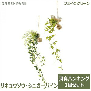 150~ItN[|y撅pztFCNO[ ϗtA lHϗtA  Ǌ| nMO CeA LE\E VK[oC L ݂艺 2 Zbg PRGR-1183 GREENPARK 