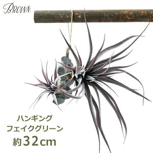 ő1000~OFFN[|&100%|CgobN tFCNO[ ϗtA lHϗtA  Ǌ| GAvc `WA p[v nMO  A O[ ݂艺 C