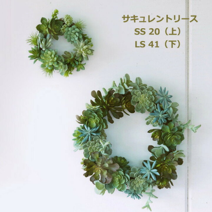 楽天市場】多肉植物 サキュレント リース ミニ 20cm フェイク グリーン 
