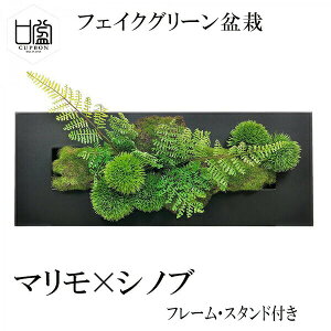 ő100%|CgobNI ~ } Vmu tFCNO[ Ǌ| lH ϗtA  X^ht CUPBON V_A EH[fRM ~ PRGR-1202 t[ AWg _