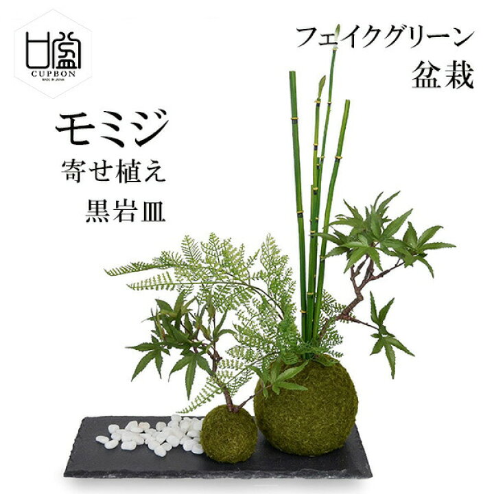 現品 鹿島モミジ モダン 育てやすい 花 はじめて 観葉植物 鉢植え 送料無料 植物 盆栽 紅葉 インテリア 小品盆栽 現品商品