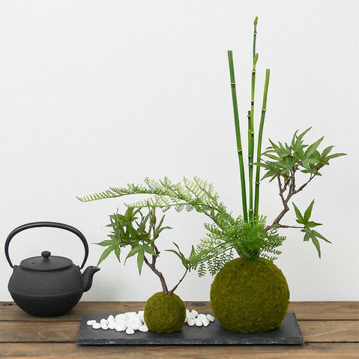 現品 鹿島モミジ モダン 育てやすい 花 はじめて 観葉植物 鉢植え 送料無料 植物 盆栽 紅葉 インテリア 小品盆栽 現品商品 現品 鹿島モミジ モダン 育てやすい 花 はじめて 観葉植物 鉢植え 送料無料 植物 盆栽 紅葉 インテリア 小品盆栽 現品商品