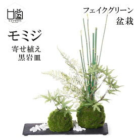 【エントリーでポイント5倍】盆栽 モミジ トクサ 苔玉 セット 青紅葉 フェイクグリーン 人工 観葉植物 造花 CUPBON 寄せ植え 黒岩皿 PRGR-1076 和室 モダン ディスプレイ アレンジメント 送料無料 インテリア お祝い リアル 手作り おしゃれ ギフト プレゼント 人気 誕生日