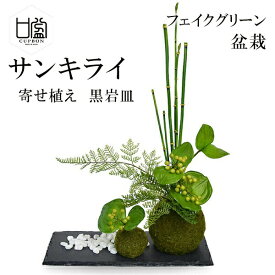 盆栽 サンキライ トクサ 苔玉 セットフェイクグリーン 人工 観葉植物 造花 CUPBON 黒岩皿 寄せ植え PRGR-1077 和室 モダン ディスプレイ アレンジメント 白玉石 インテリア お祝い リアル 手作り おしゃれ ギフ 送料無料