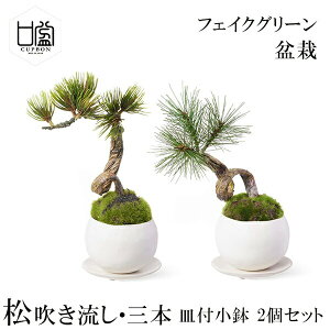 ミニ 盆栽 セットの人気商品 通販 価格比較 価格 Com ミニ 盆栽 セットの人気商品 通販 価格比較 価格 Com