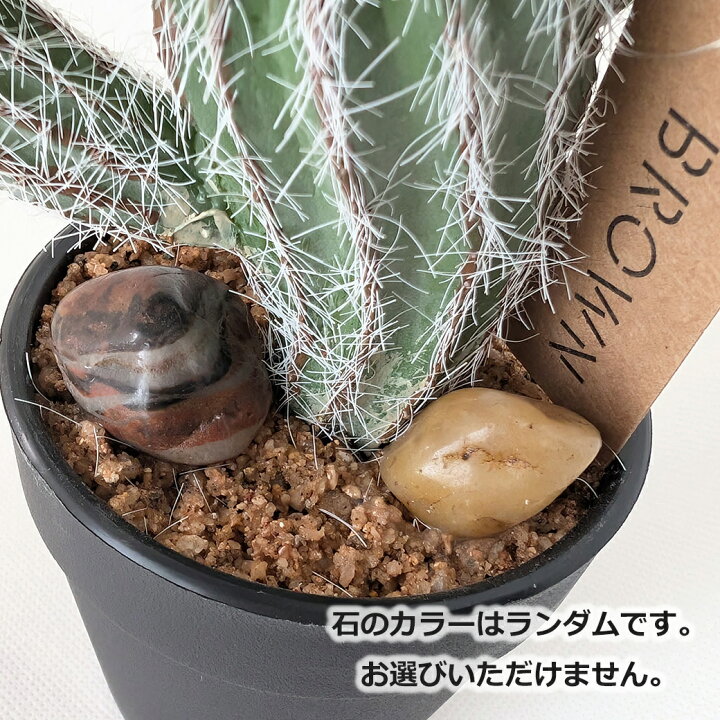 楽天市場】【買いまわりでポイント最大10倍】フェイクグリーン 観葉 