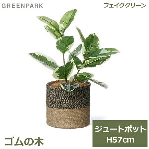 ő100%|CgobNI tFCNO[ ϗtA lHϗtA   tFCN CeA A  S̖ W[g|bg 57cm rO Q PRGR-1468 GREENPARK 