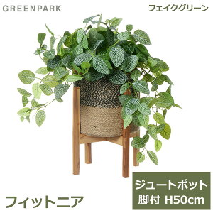 150~ItN[|y撅pztFCNO[ ϗtA lHϗtA   CeA A  tBbgjA W[g|bg rt 50cmrO t PRGR-1469W GREENPARK 