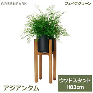 ő100%|CgobNI tFCNO[ ϗtA tFCN lHϗtA  A CeA A  AWA^ EbhX^h rt ؐ 83cm t PRGR-1518 GREENPARK