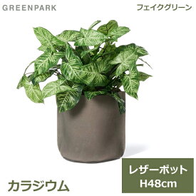 フェイクグリーン 観葉植物 フェイク 人工観葉植物 造花 植物 インテリア リアル おしゃれ カラジウム レザーポット 本革 48cm グレー PRGR-1504GY GREENPARK ポット付き 葉 リビング 寝室 玄関 オフィス シン 送料無料