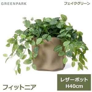 150~ItN[|y撅pztFCNO[ ϗtA tFCN lHϗtA  A CeA A  tBbgjA U[|bg t 40cm x[W PRGR-1560BE GREENPARK 