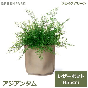 150~ItN[|y撅pztFCNO[ ϗtA tFCN lHϗtA  A CeA A  AWA^ U[|bg t 55cm x[W PRGR-1500BE GREENPARK 