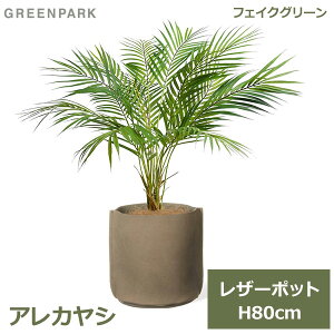 ő1000~ItN[|y撅pztFCNO[ ϗtA tFCN lHϗtA  A CeA A  AJV U[|bg {v 80cm x[W PRGR-1503BE GREENPARK 