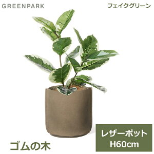 ő100%|CgobNI tFCNO[ ϗtA tFCN lHϗtA  A CeA A  S̖ U[|bg {v t 60cm x[W PRGR-1559BE GREENPARK 