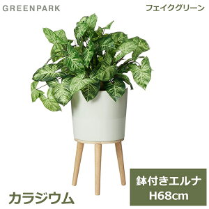 150~ItN[|y撅pztFCNO[ ϗtA tFCN lHϗtA  A CeA A  JWE Gi t 68cm t Zbg PRGR-1526 GREENPARK 