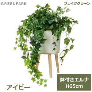ő100%|CgobNI tFCNO[ ϗtA tFCN lHϗtA  A CeA A  ACr[ Gi 65cm t Zbg O[ PRGR-1523 GREENPARK