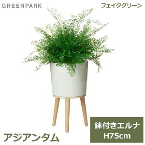 ő100%|CgobNI tFCNO[ ϗtA tFCN lHϗtA  A CeA A  AWA^ Gi 75cm t Zbg  PRGR-1522 GREENPARK