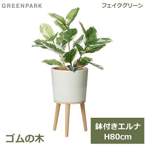 ő100%|CgobNI tFCNO[ ϗtA tFCN lHϗtA  A CeA A  S̖ Gi 80cm t Zbg  t PRGR-1520 GREENPARK 