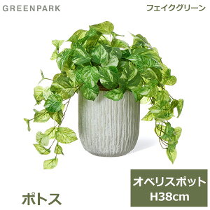 ő1000~ItN[|y撅pztFCNO[ ϗtA lHϗtA   tFCN A CeA A  |gX IxX|bg 38cm t Zbg PRGR-1478 GREENPARK 