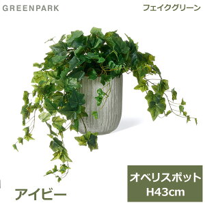 ő100%|CgobNI tFCNO[ ϗtA lHϗtA   tFCN A CeA  ACr[ IxX|bg 43cm t Zbg PRGR-1476 GREENPARK 