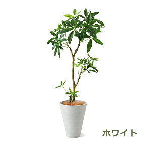 150~ItN[|y撅pztFCNO[ ϗtA lHϗtA   tFCN A pL GW v^[ 130cm CeA  Zbg t t PRGR-1240 GREENPARK 