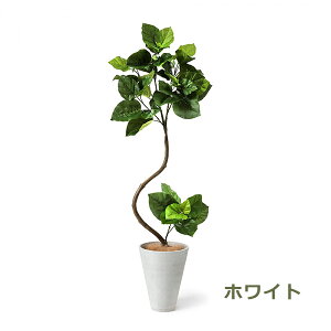 150~ItN[|y撅pztFCNO[ ϗtA lHϗtA  ^ cCXgEx[^ GW v^[ 164cm A  Zbg t t PRGR-1268 GREENPARK  