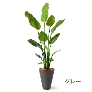 150~ItN[|y撅pztFCNO[ ϗtA lHϗtA  ^ Xg`A GW v^[ 160cm A  t t CeA Q  PRGR-1148 GREENPARK 