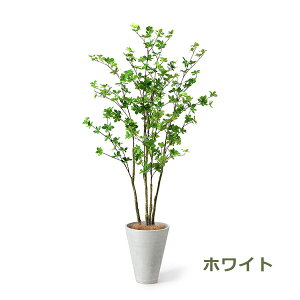 150~OFFN[|y撅pztFCNO[ ϗtA lHϗtA  ^hE_ccW GW v^[ 168cm A  t t CeA lC i PRGR-1249 GREENPARK 