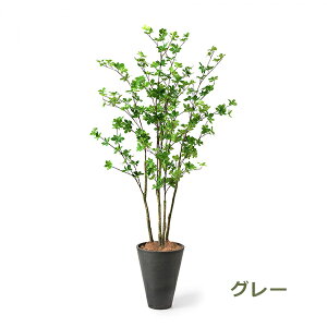 ő1000~OFFN[|&100%|CgobN tFCNO[ ϗtA lHϗtA  ^hE_ccW GW v^[ 168cm A  t t CeA lC i PRGR-1249 GREENPARK 