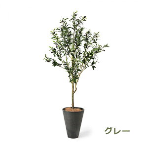 ő700~OFFN[|y撅pztFCNO[ ϗtA lHϗtA  ^ I[u KĂԖ GW v^[ 160cm A  Zbg t lC  PRGR-1260 GREENPARK 