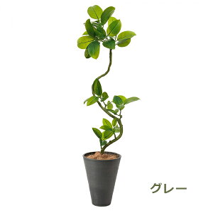 150~OFFN[|y撅pztFCNO[ ϗtA lHϗtA  ^ tBJX AeV} GW v^[ 142cm A  Zbg t lC X PRGR-1291 GREENPARK 