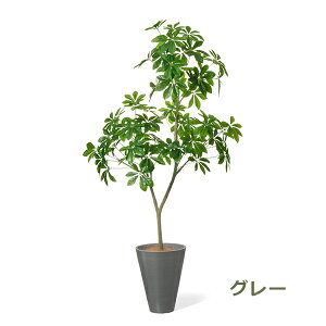 ő700~OFFN[|y撅pztFCNO[ ϗtA lHϗtA  ^ VFt GW v^[ 160cm A  t Zbg CeA  PRGR-1532 GREENPARK  