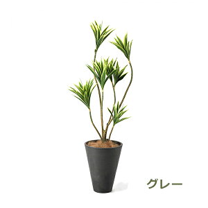 ő1000~ItN[|y撅pztFCNO[ ϗtA lHϗtA   hZi RVl ^̖ GW v^[ 128cm A  t CeA PRGR-1271 GREENPARK 