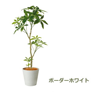 150~ItN[|y撅pztFCNO[ ϗtA lHϗtA   pL GW v^[ 130cm tFCN A CeA  Zbg t t PRGR-1240 GREENPARK 