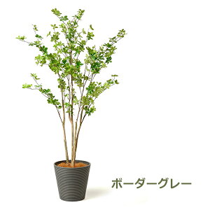 ő1000~ItN[|y撅pztFCNO[ ϗtA lHϗtA  ^hE_ccW GW v^[ 165cm A  t t CeA lC i PRGR-1249 GREENPARK 