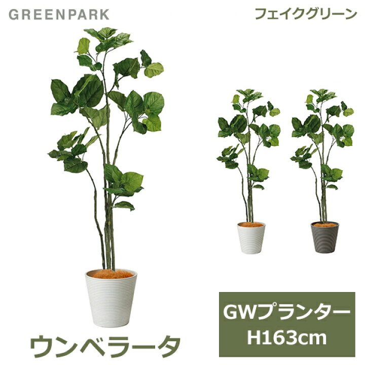 楽天市場】最大100%ポイントバック フェイクグリーン 観葉植物 人工 