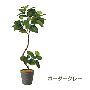 150~ItN[|y撅pztFCNO[ ϗtA lHϗtA  ^ cCXgEx[^ GW v^[ 164cm tFCN A  Zbg t PRGR-1268 GREENPARK 