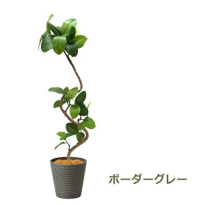 ő1000~OFFN[|&100%|CgobN tFCNO[ ϗtA lHϗtA  ^ tBJX AeV} GW v^[ 142cm A  Zbg t lC X PRGR-1291 GREENPARK