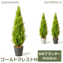 楽天市場】コニファー プランターの通販