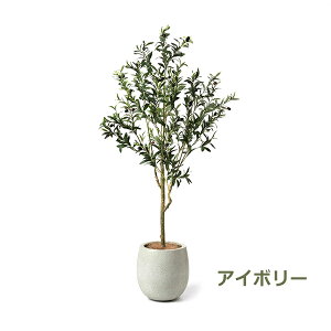 150~ItN[|y撅pztFCNO[ ϗtA lHϗtA   I[u GbO|bg t 155cm tFCN A  Zbg KĂԖ PRGR-1261 GREENPARK 