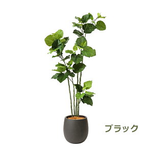 150~ItN[|y撅pztFCNO[ ϗtA lHϗtA   Ex[^ GbO|bg t 155cm tFCN A  ZbgCeA PRGR-1266 GREENPARK 