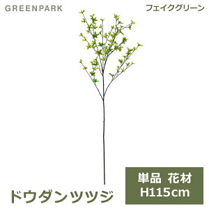 ő1000~OFFN[|&100%|CgobN tFCNO[ ϗtA lHϗtA  hE_ccW Pi ԍ tbVO[ 115cm A  t CeA lC i PVA-0001 GREE