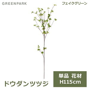 ő1000~OFFN[|&100%|CgobN tFCNO[ ϗtA lHϗtA  hE_ccW Pi ԍ tbVO[ 115cm A  t CeA lC i PA-0468 GREEN