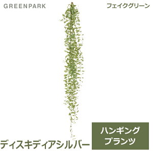 ő1000~ItN[|y撅pztFCNO[ ϗtA lHϗtA  Ǌ| fBXLfBA nMO vc Vo[O[ Pi VΉ  GR PRGR-1579 GREENPA