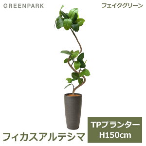 ő100%|CgobNI tFCNO[ ϗtA lHϗtA  ^ O[ tBJXAeV} TPv^[ H150cm CeA  S̖ PRGR-1190 GREENPARK 