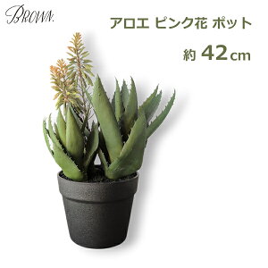 ő100%|CgobNI tFCN O[  |bg AG  sN  42cm  lH ϗtA vc CeA fBXvC  uE Brown {^jJ J