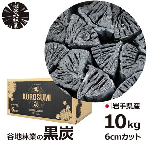 ő100%|CgobNI Y ؒY Y 10kg Y o[xL[ BBQ AEghA { 茧 vs R` Jnы  i ؒY Yf 85 i ԔR Η͎  