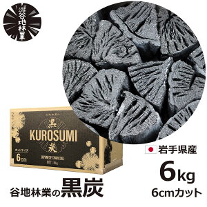 150~ItN[|y撅pzY ؒY Y 6kg Y o[xL[ BBQ AEghA { 茧 vs R` Jnы  i ؒY Yf 85 i ԔR Η͎  